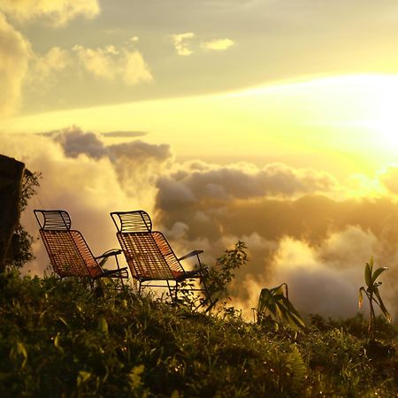 Minca Sintropia - Sustainable Lodge & Organic Coffee Finca Εξωτερικό φωτογραφία