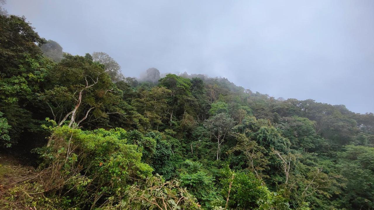 Minca Sintropia - Sustainable Lodge & Organic Coffee Finca Εξωτερικό φωτογραφία