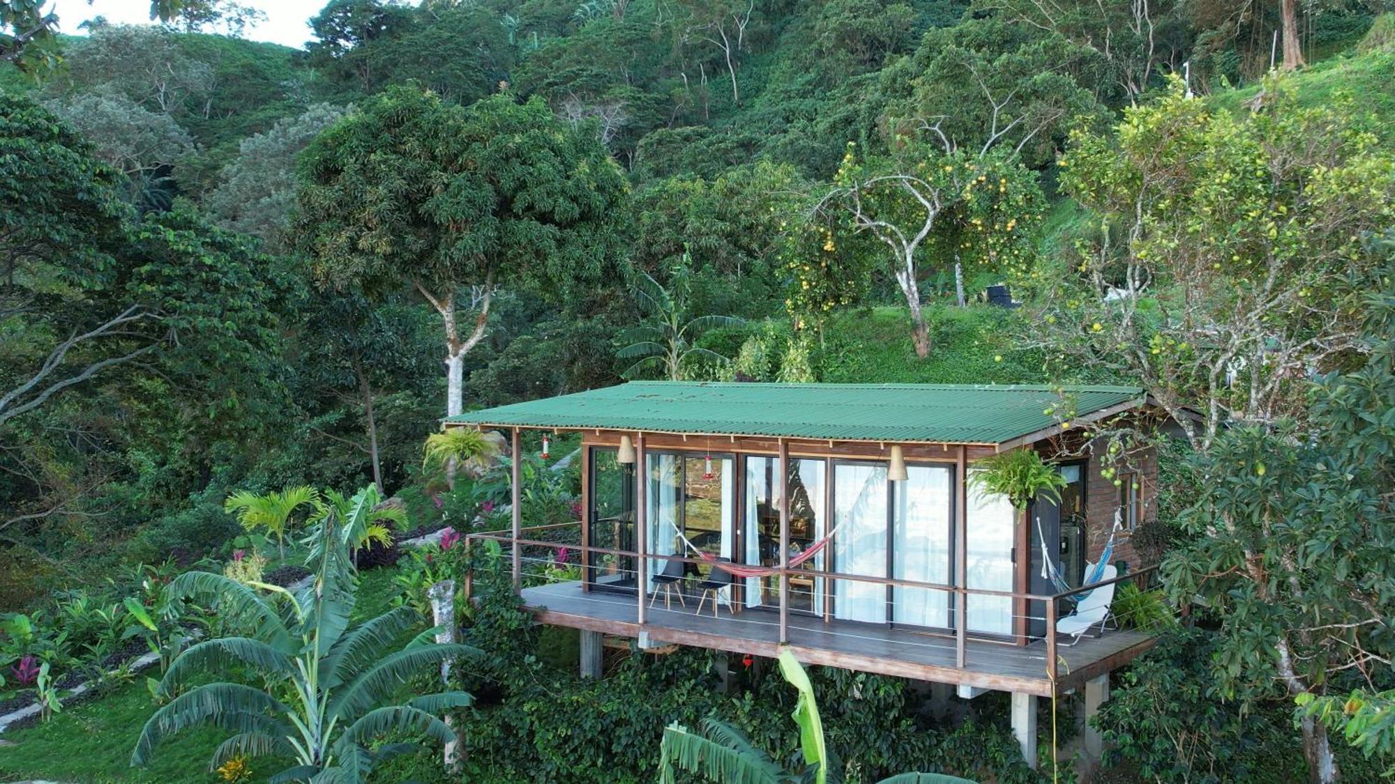 Minca Sintropia - Sustainable Lodge & Organic Coffee Finca Εξωτερικό φωτογραφία