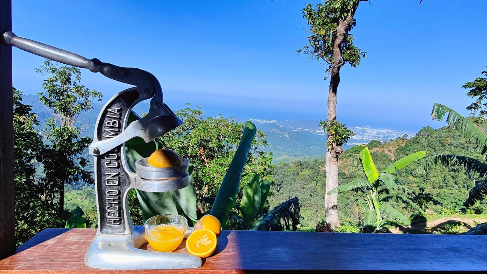 Minca Sintropia - Sustainable Lodge & Organic Coffee Finca Εξωτερικό φωτογραφία