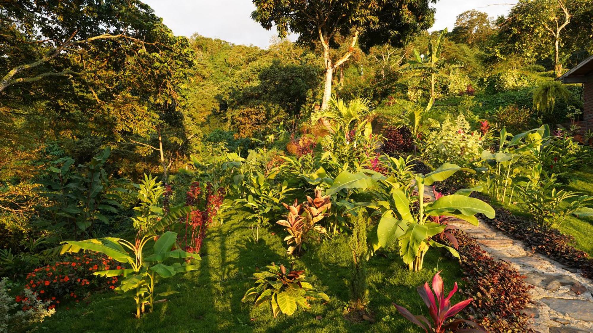 Minca Sintropia - Sustainable Lodge & Organic Coffee Finca Εξωτερικό φωτογραφία