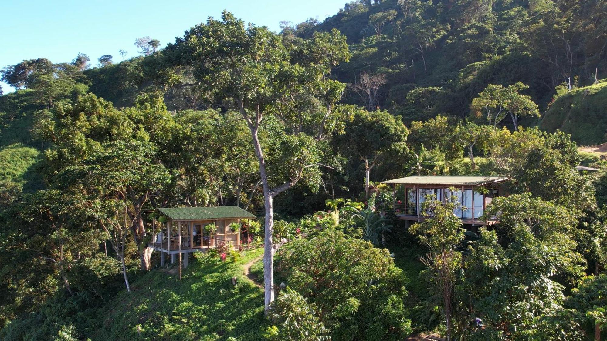 Minca Sintropia - Sustainable Lodge & Organic Coffee Finca Εξωτερικό φωτογραφία