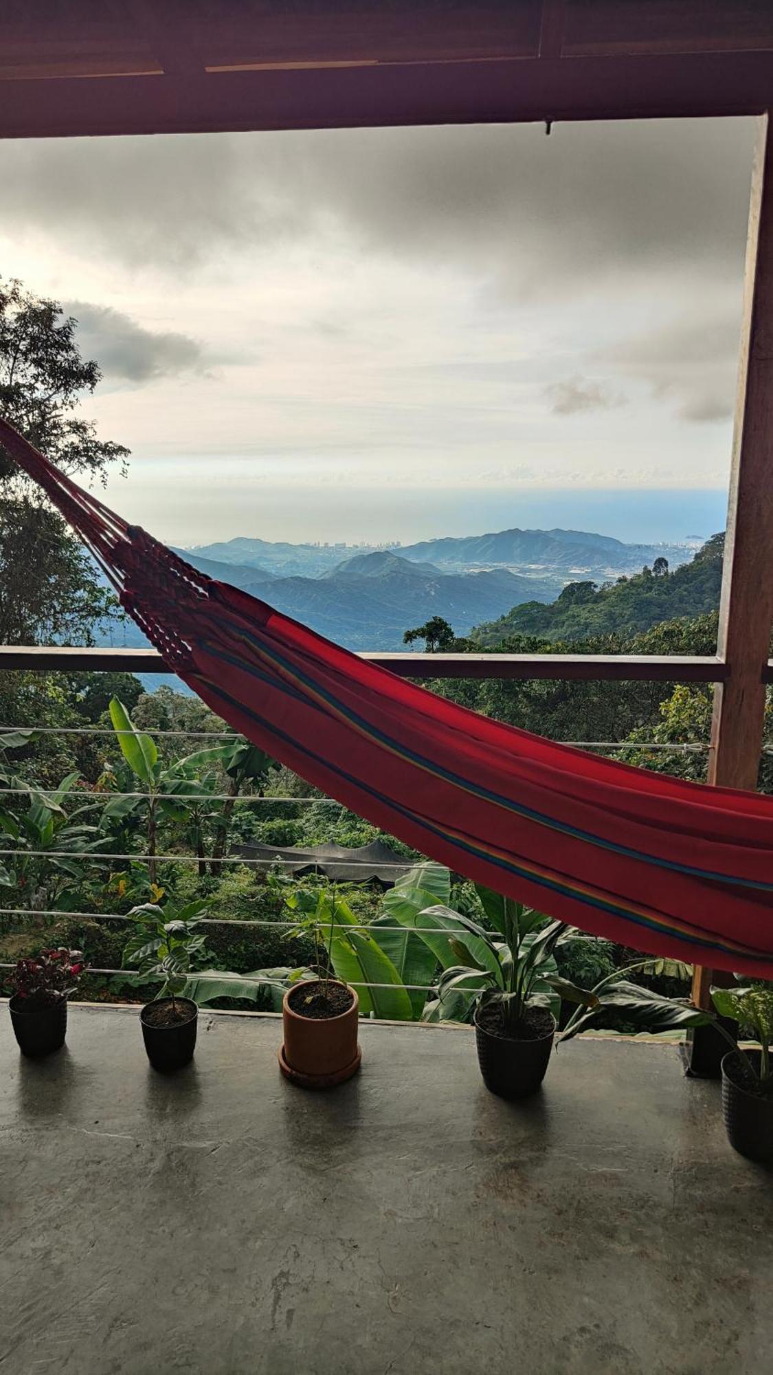 Minca Sintropia - Sustainable Lodge & Organic Coffee Finca Δωμάτιο φωτογραφία