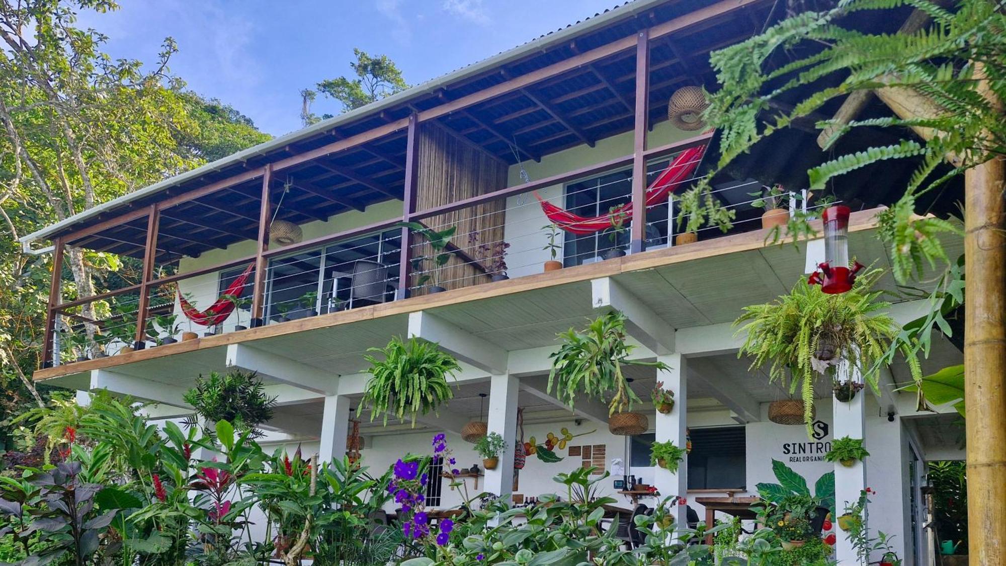 Minca Sintropia - Sustainable Lodge & Organic Coffee Finca Δωμάτιο φωτογραφία